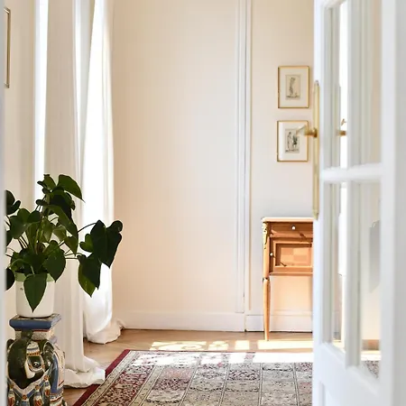 Eiffel Tower View Rose, #1