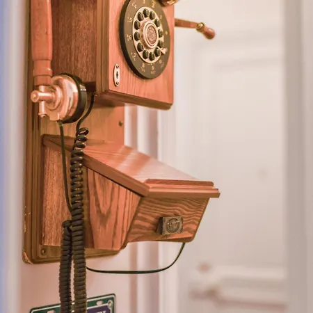 Eiffel Tower View Rose, #1